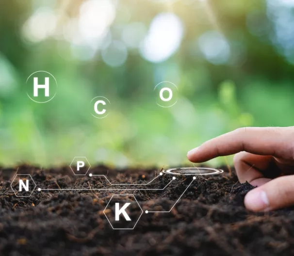 Biofertilisants